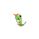 caterpie