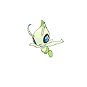 celebi