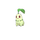 chikorita