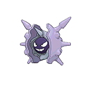 cloyster