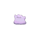 ditto