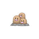 dugtrio