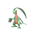 grovyle