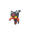 litten