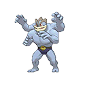 machamp