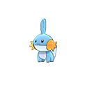 mudkip