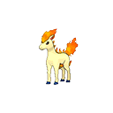 ponyta