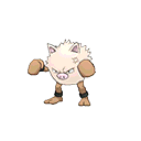 primeape