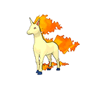 rapidash