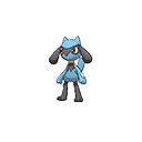 riolu