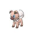 rockruff