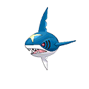 sharpedo