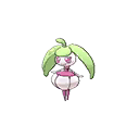 steenee