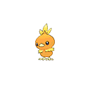 torchic