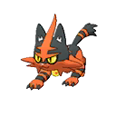 torracat