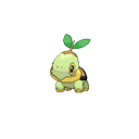 turtwig