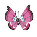 vivillon