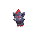 zorua